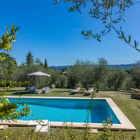 Il Vecchio Ulivo 10 Villa *