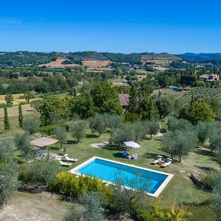 Villa Il Vecchio Ulivo 10